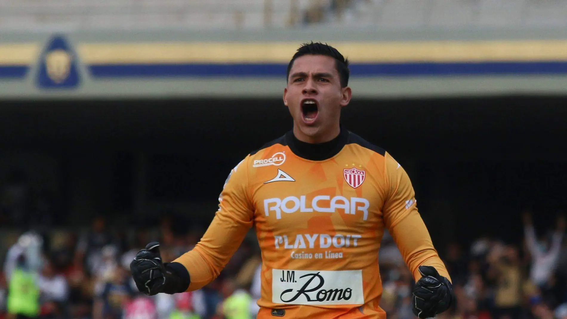 864289_Pumas vs Necaxa J11-3_web